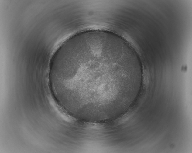 X0000111800486200907301213