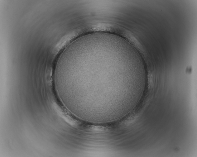 X0000111800490200907301213