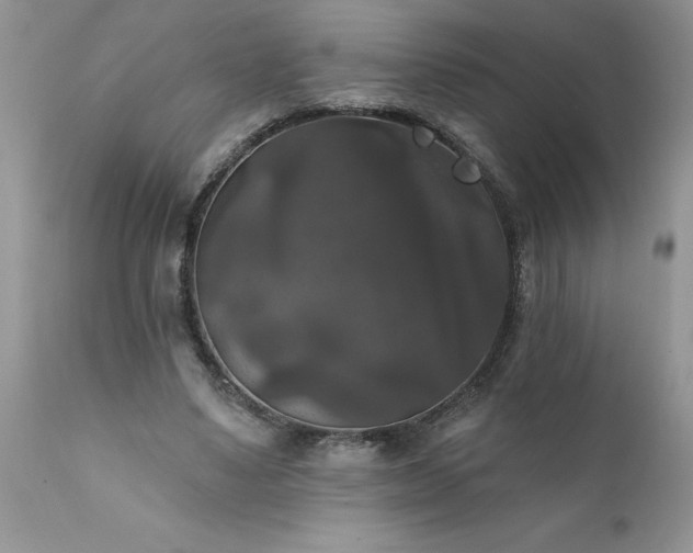 X0000111800491200907301213