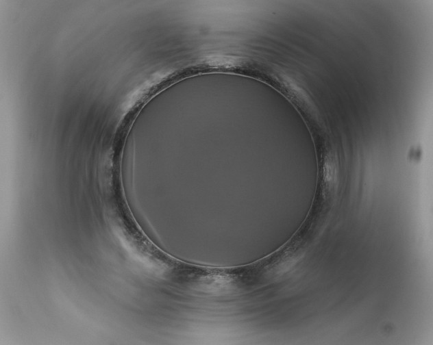 X0000111800492200907301213