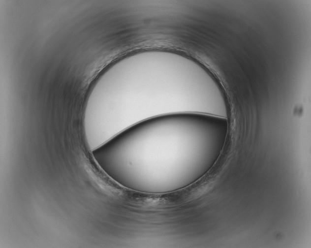 X0000111800493200907301213