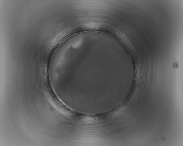 X0000111800494200907301213