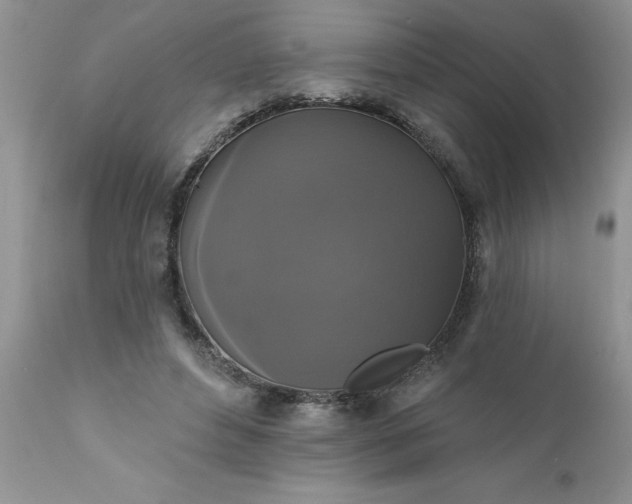 X0000111800496200907301213