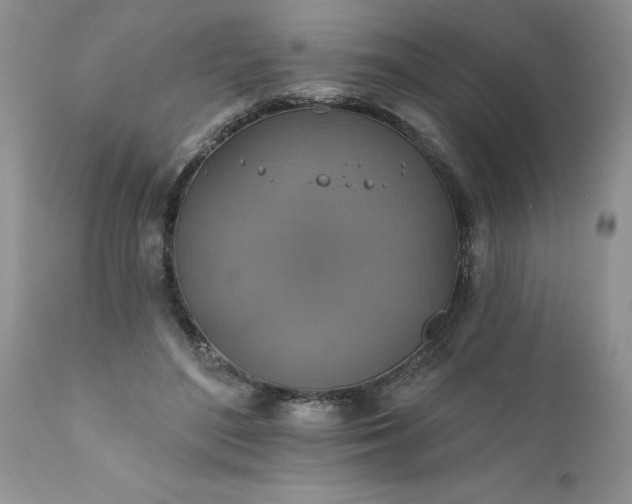 X0000111800500200907301213