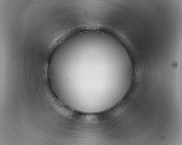 X0000111800501200907301213