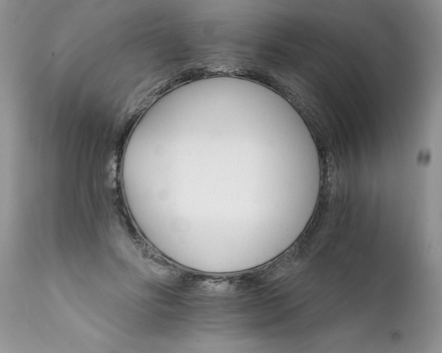 X0000111800502200907301213