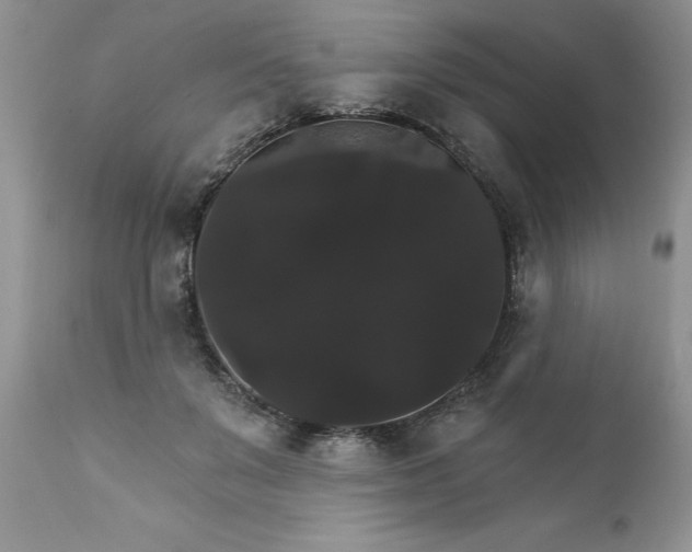 X0000111800503200907301213