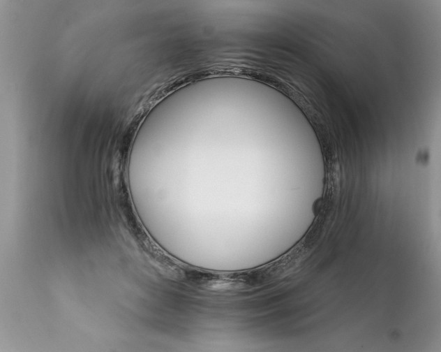 X0000111800504200907301213