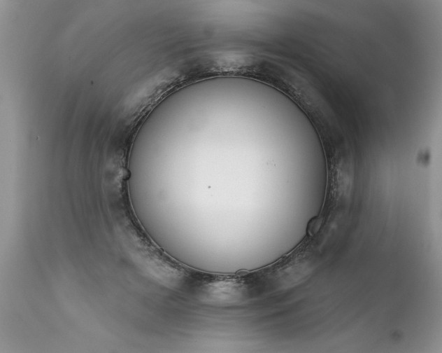 X0000111800505200907301213