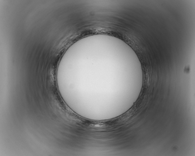 X0000111800506200907301213