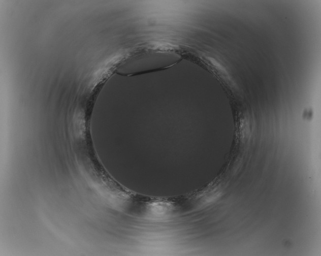 X0000111800508200907301213