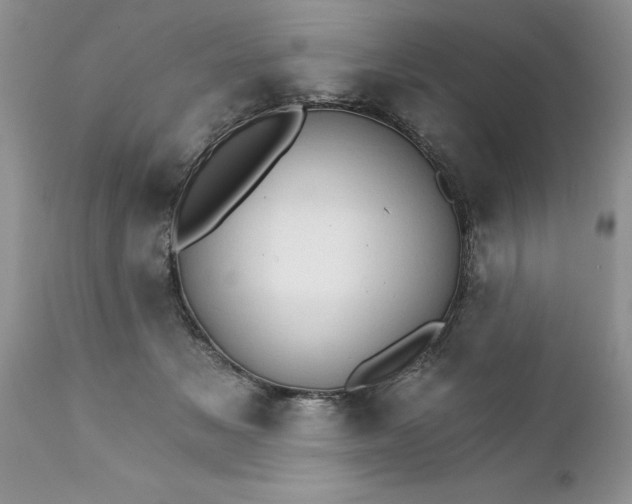 X0000111800509200907301213