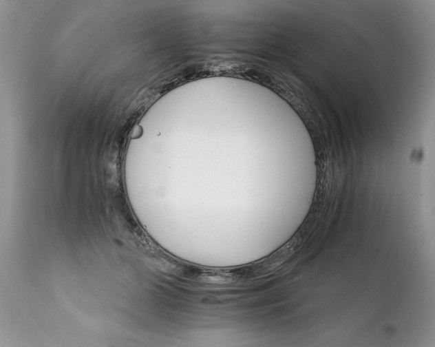 X0000111800510200907301213