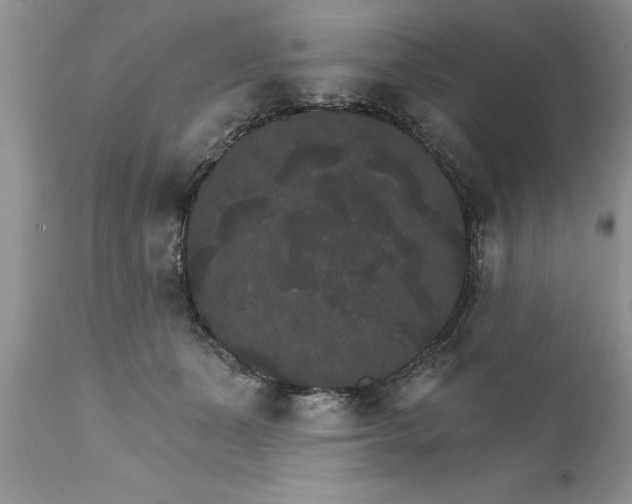 X0000111800511200907301213