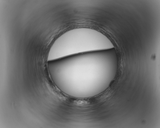 X0000111800512200907301213