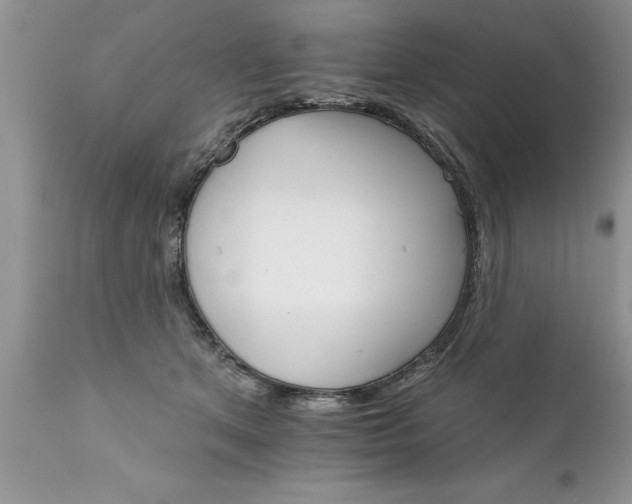 X0000111800513200907301213