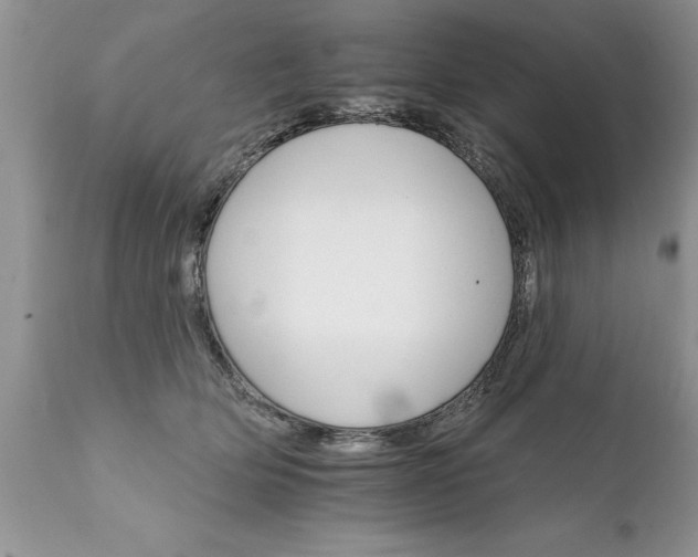 X0000111800514200907301213