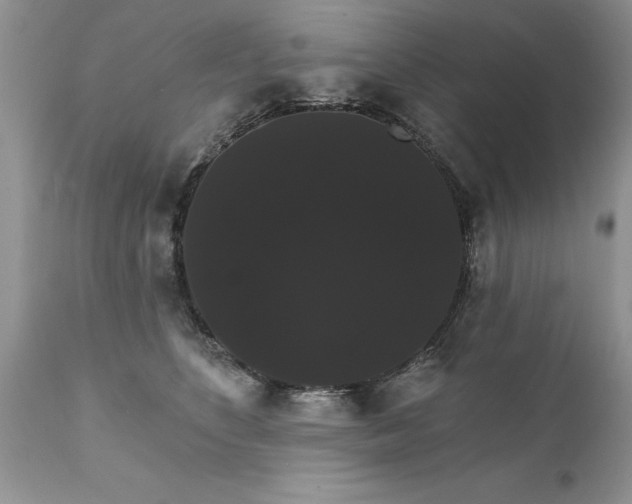 X0000111800516200907301213