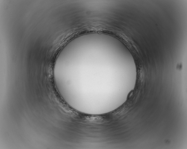 X0000111800517200907301213