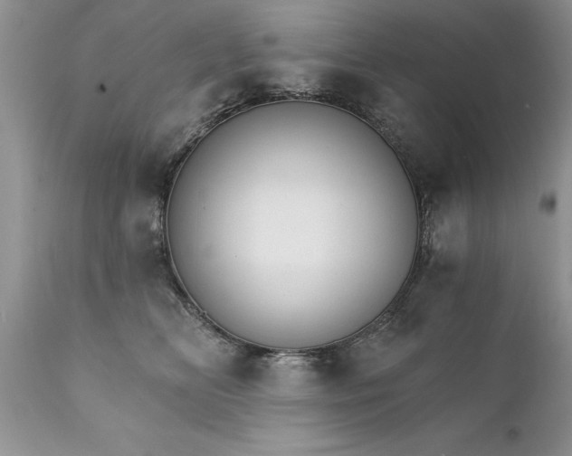 X0000111800518200907301213