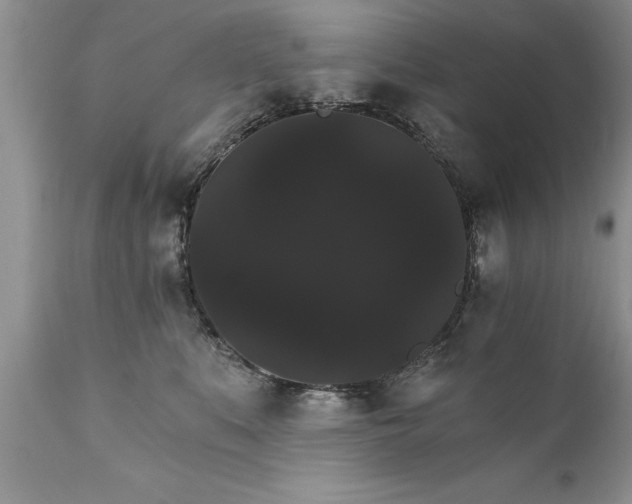 X0000111800519200907301213