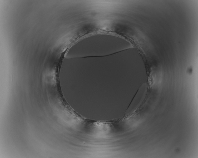 X0000111800520200907301213