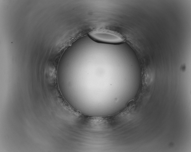 X0000111800521200907301213