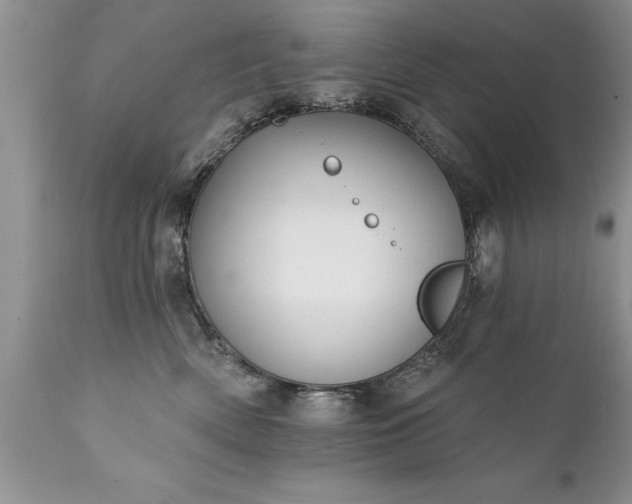X0000111800522200907301213
