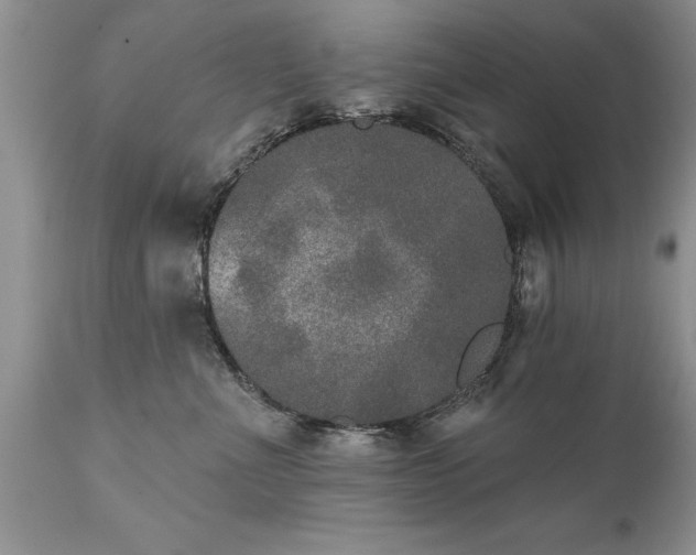 X0000111800523200907301213
