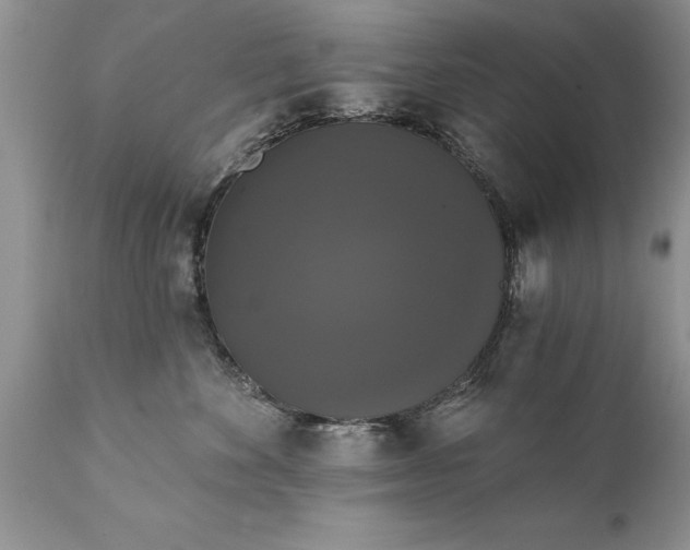 X0000111800524200907301212