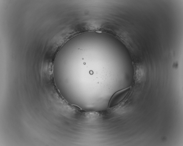 X0000111800525200907301212