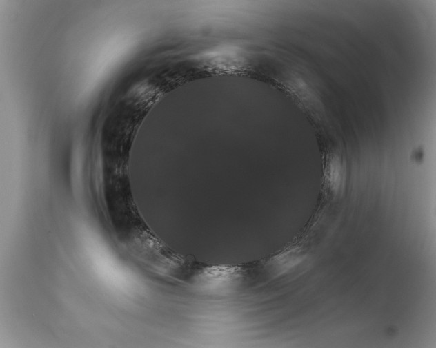X0000111800526200907301212