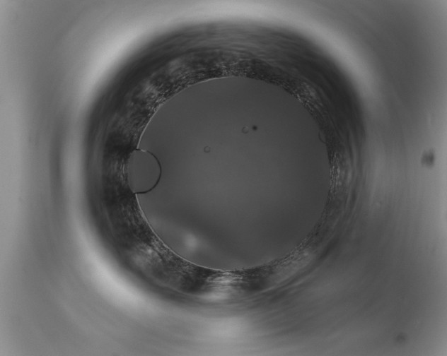 X0000111800527200907301212