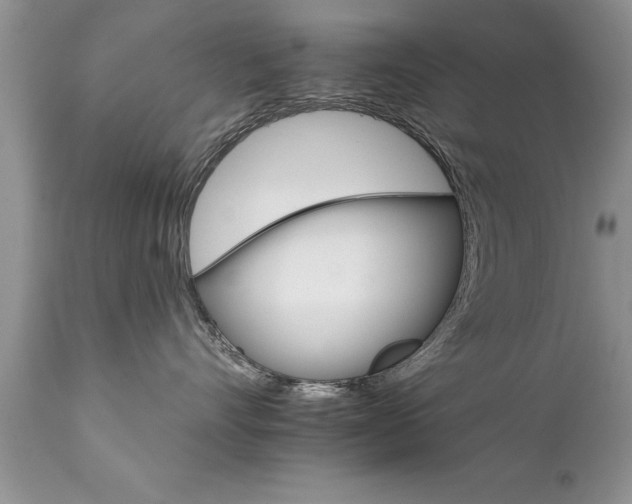 X0000111800528200907301212