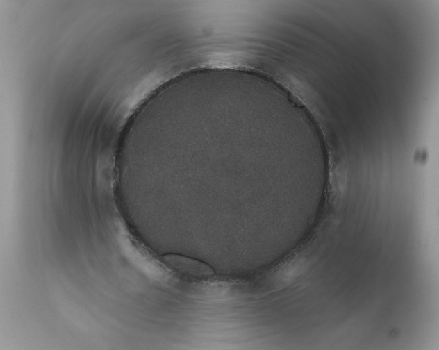 X0000111800530200907301212