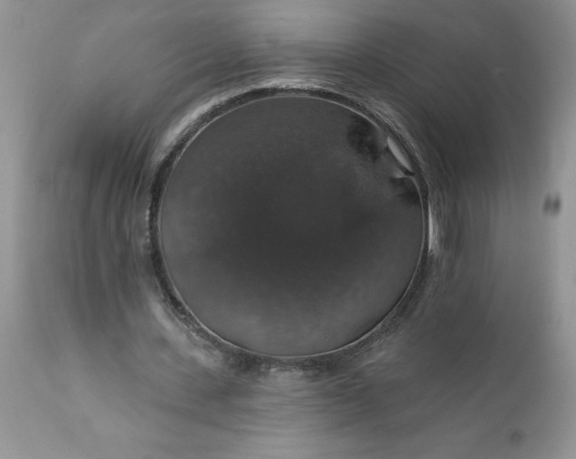X0000111800531200907301212