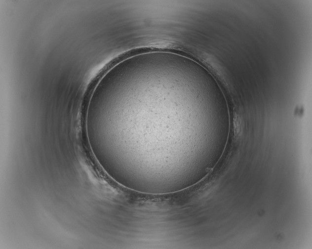 X0000111800532200907301212