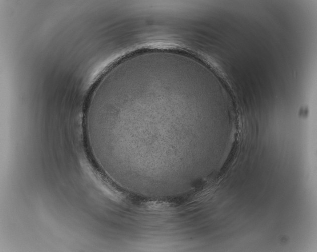 X0000111800535200907301212