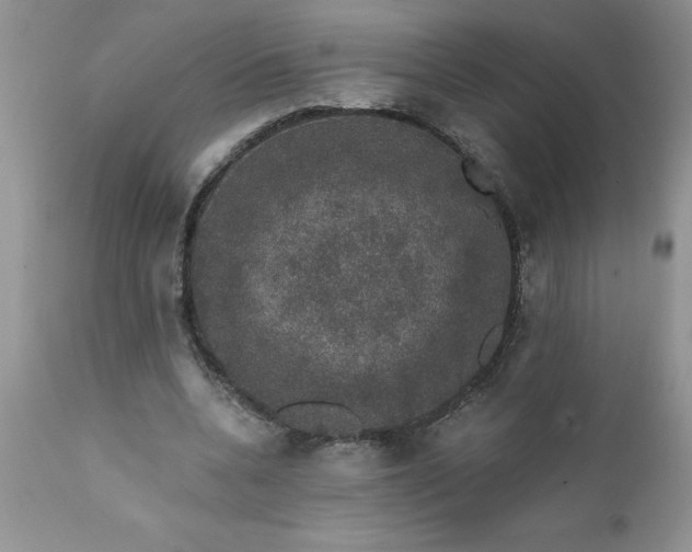X0000111800536200907301212