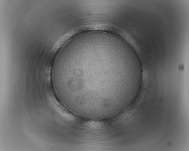 X0000111800537200907301212