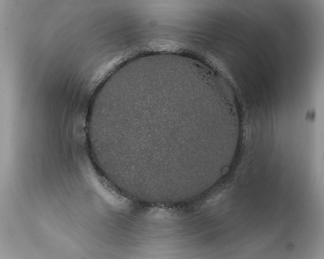 X0000111800538200907301212