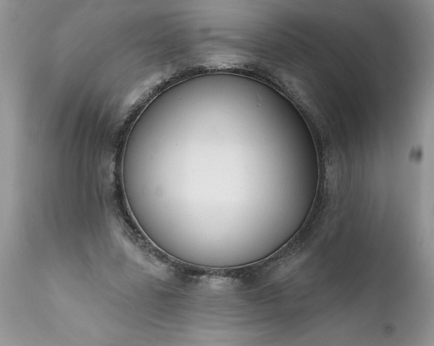 X0000111800539200907301212