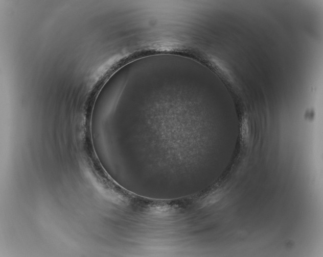 X0000111800540200907301212