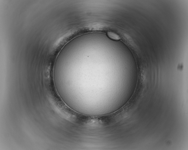 X0000111800543200907301212