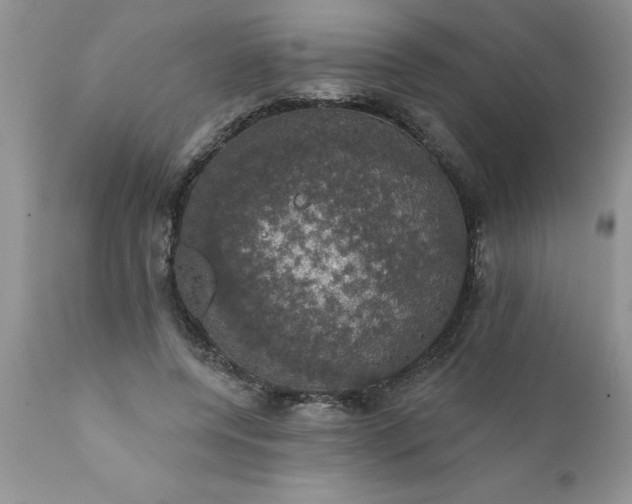X0000111800544200907301212