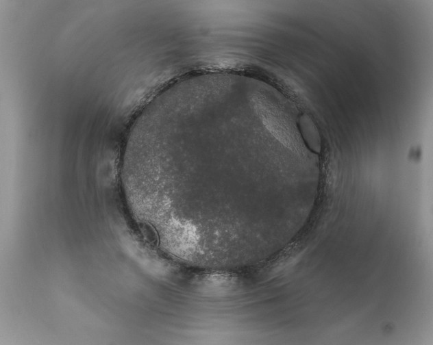 X0000111800546200907301212