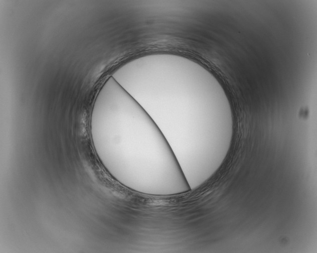 X0000111800547200907301212
