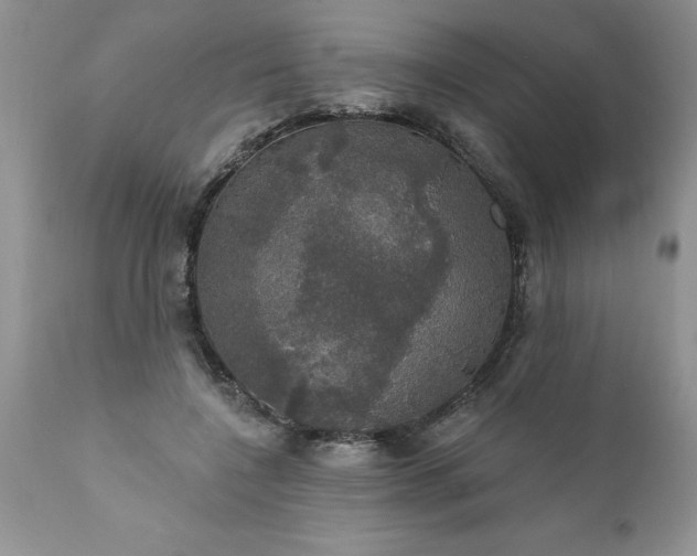 X0000111800548200907301212