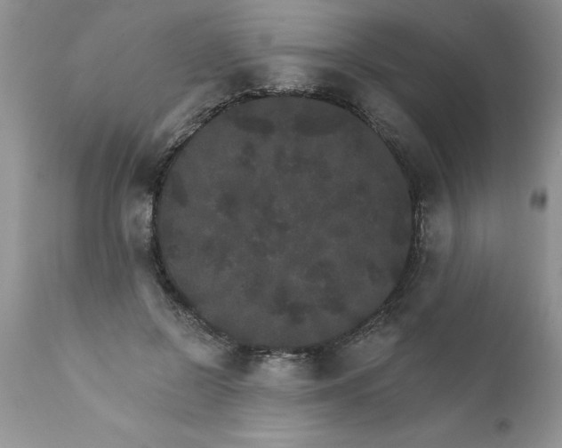 X0000111800550200907301212