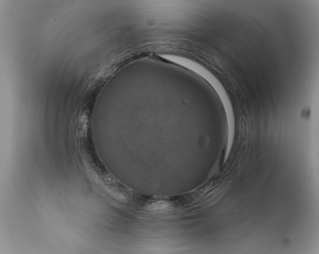X0000111800551200907301212